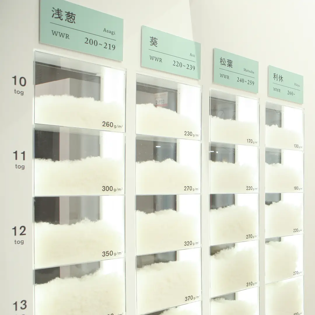 Comfort Greem - Exhibition
