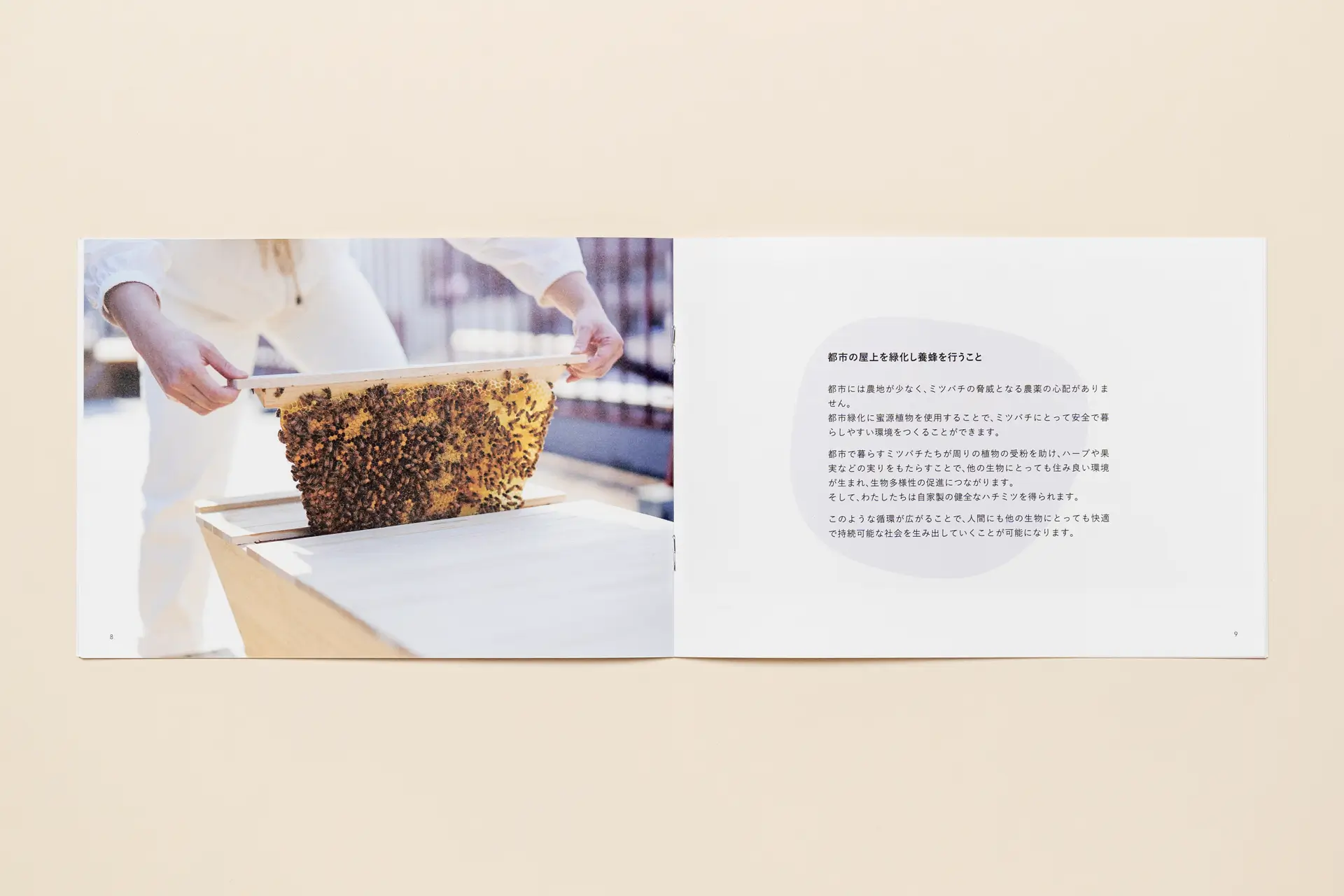 Beeslow Inc. - Brochure