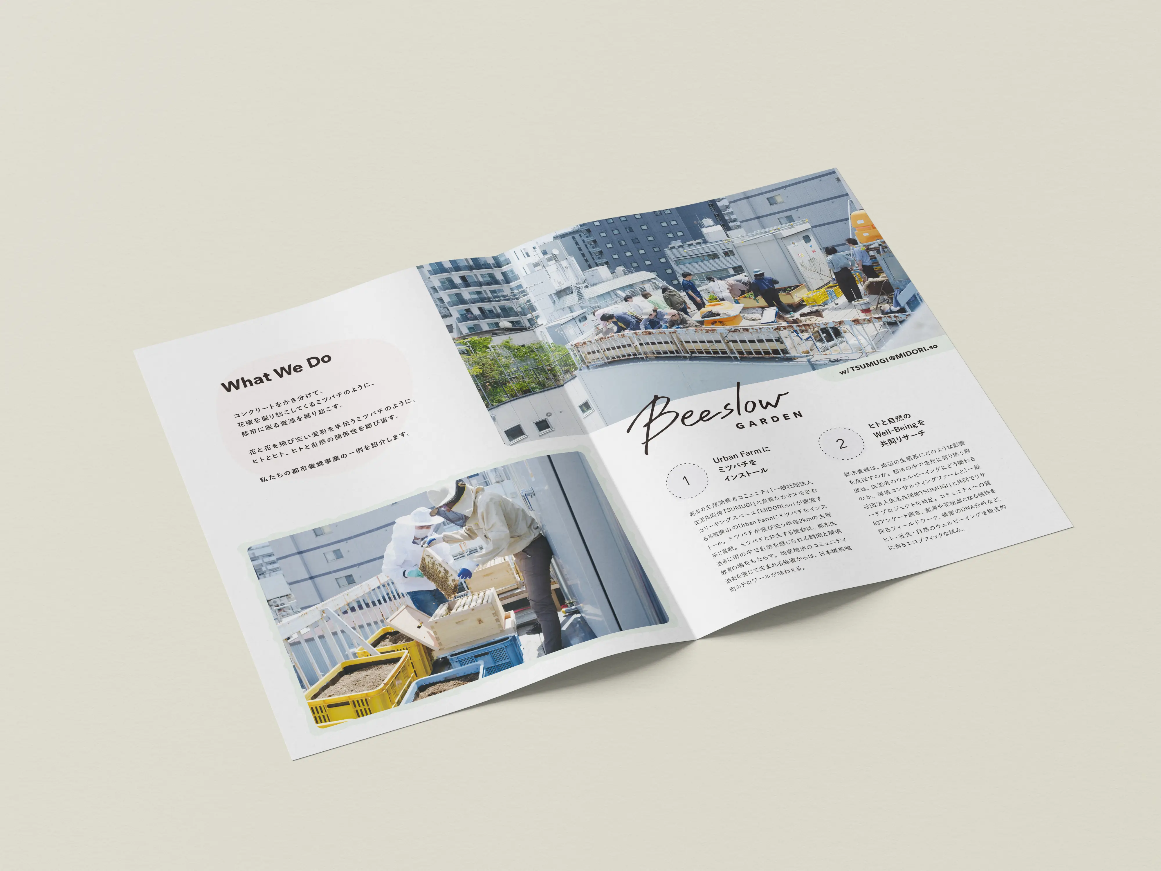 Beeslow Inc. - Leaflet