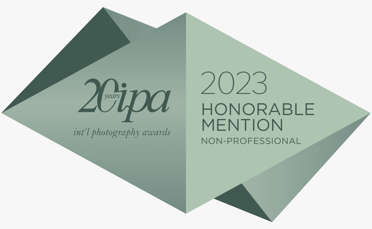 IPA 2023 Honorable Mention in Fine Art-Abstract
