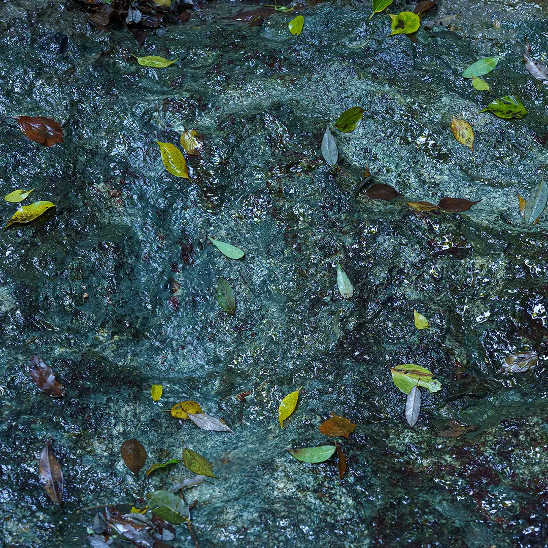 Echoes of Jigoku - Photography