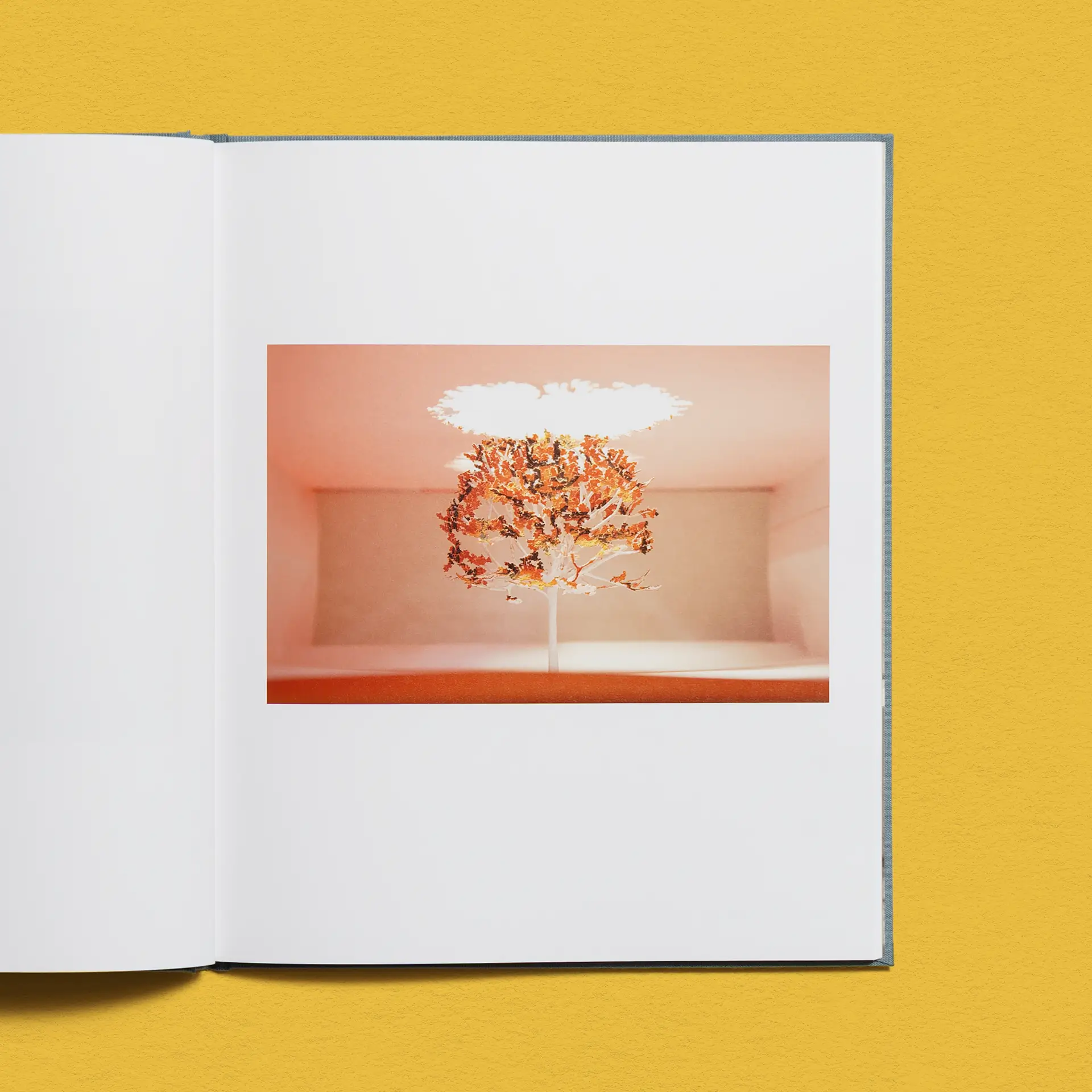 Yuken Teruya Selected Works 2001–2022